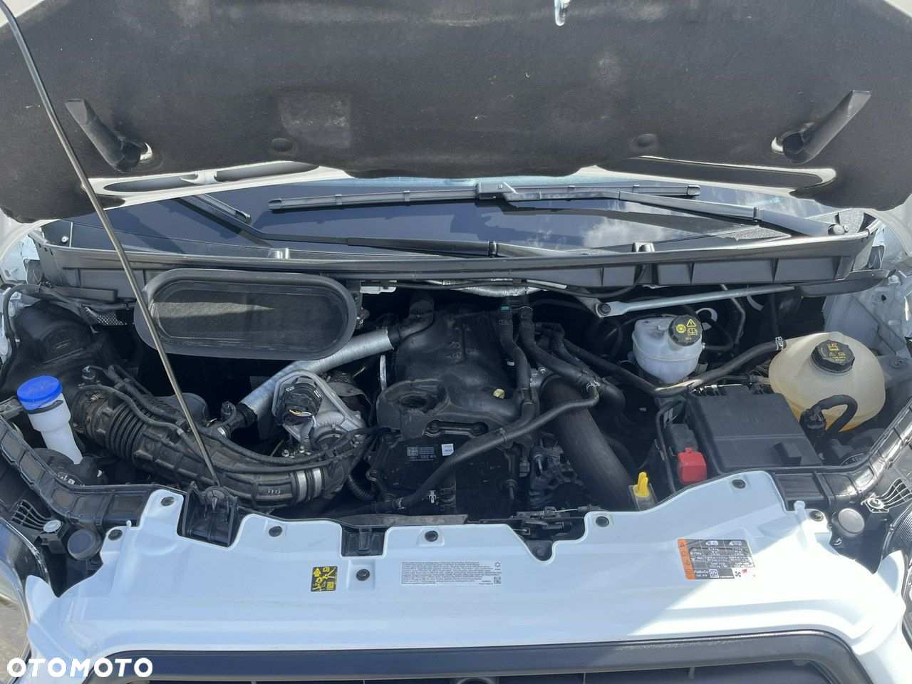 Ford Transit - 18
