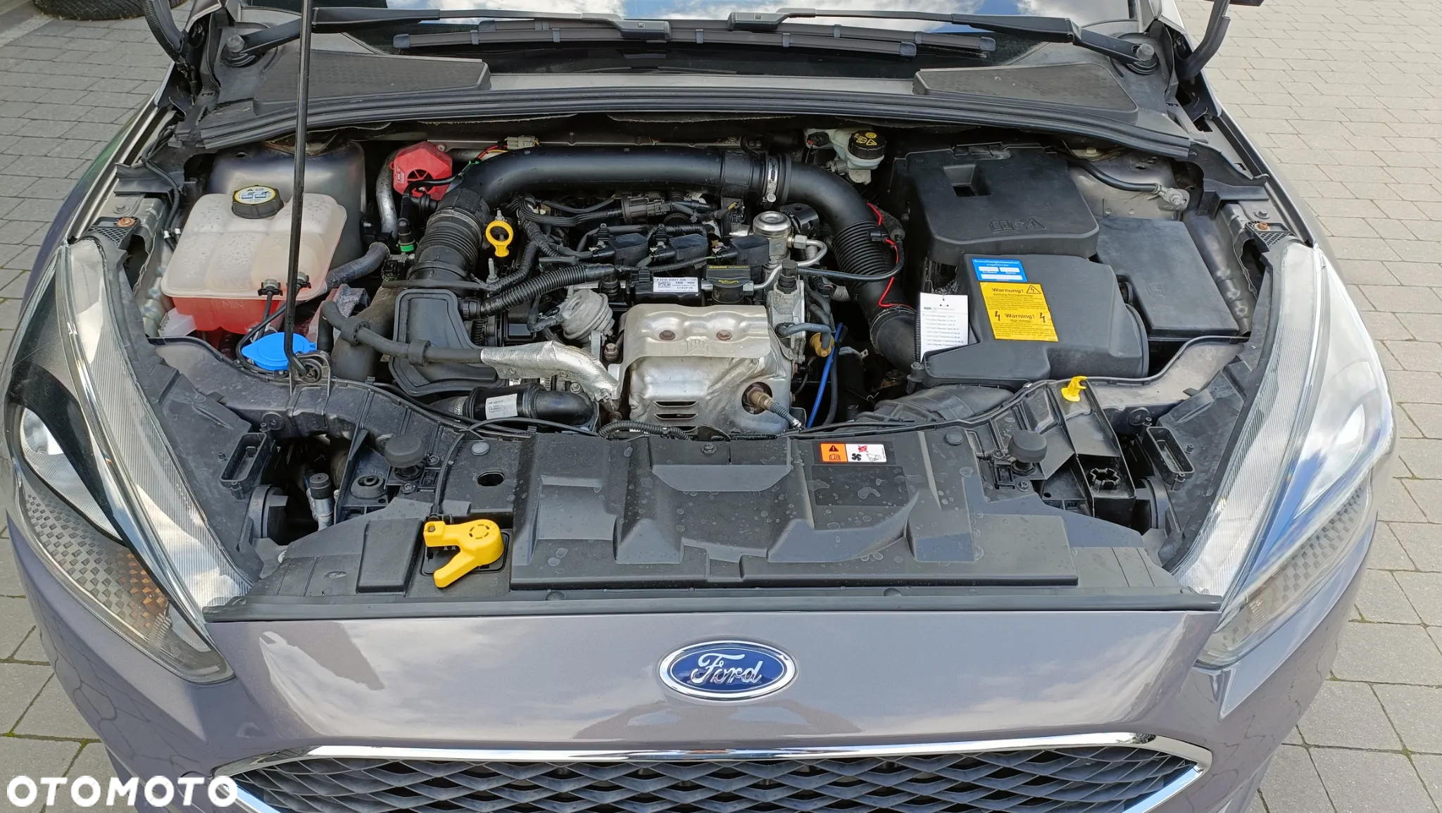 Ford Focus 1.0 EcoBoost Active - 31