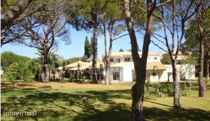 Terreno Rustico em Vilamoura -Assumadinha - Grande imagem: 3/10