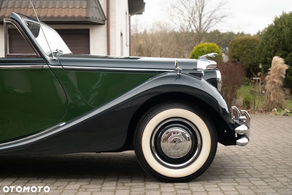Jaguar Inny - 13