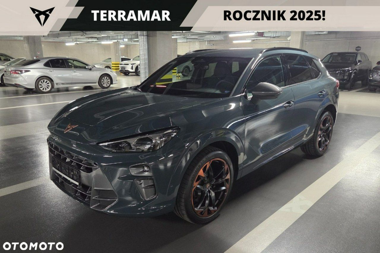 Cupra Terramar - 1