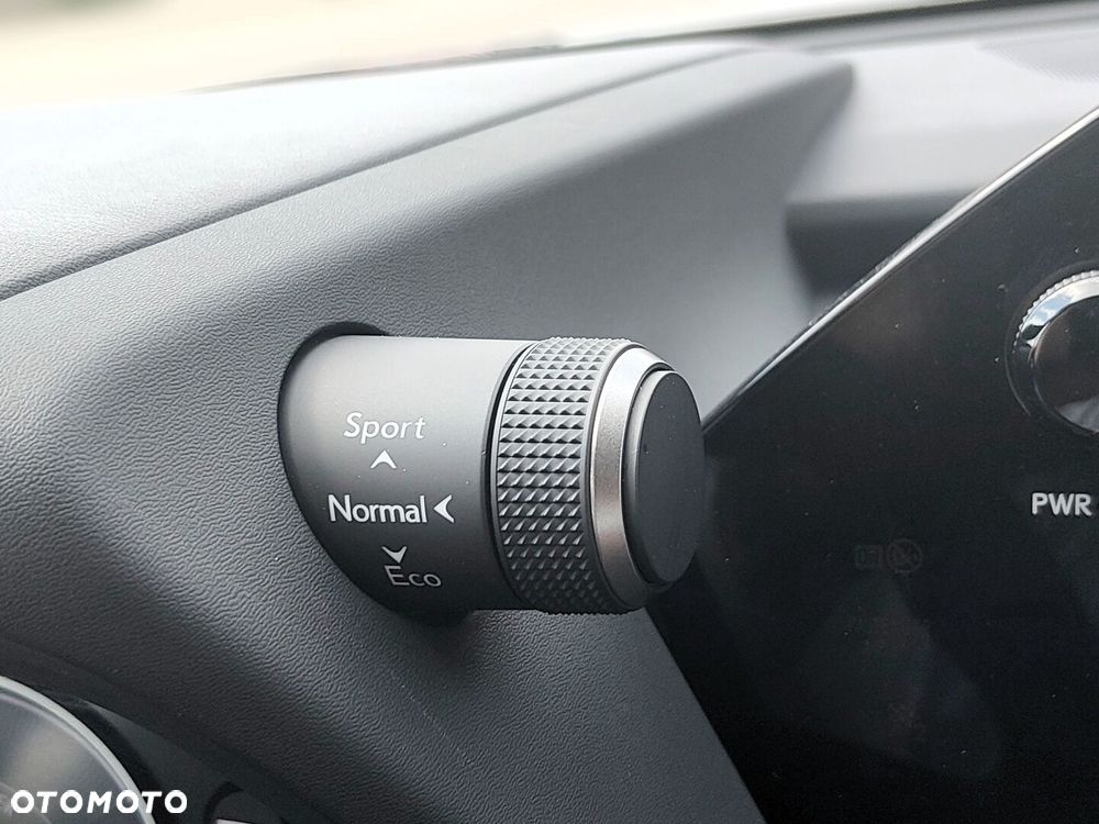 Lexus UX 250h GPF F Sport Design 2WD - 24