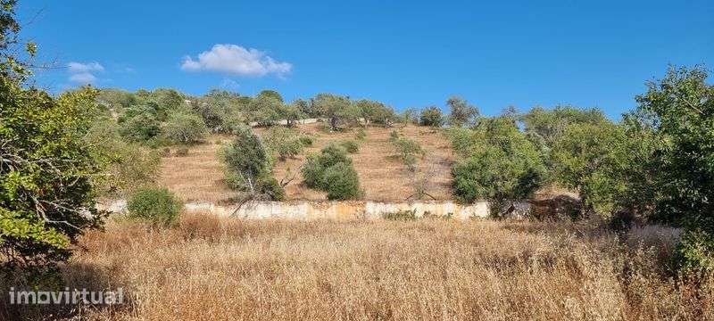 Vende-se ou Permuta de Terreno com casa em Paderne - Grande imagem: 3/8