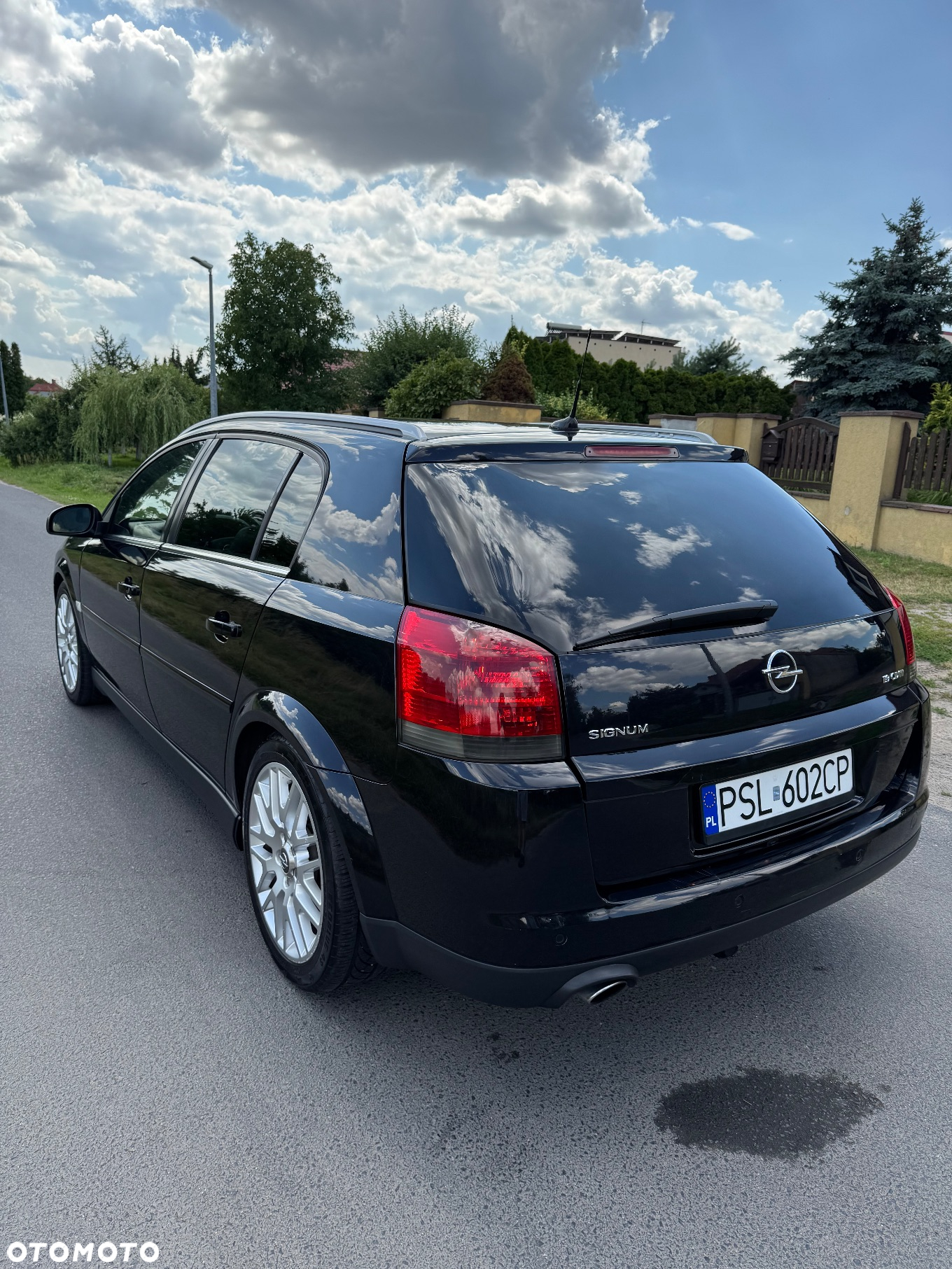 Opel Signum 1.9 CDTI Sport - 8