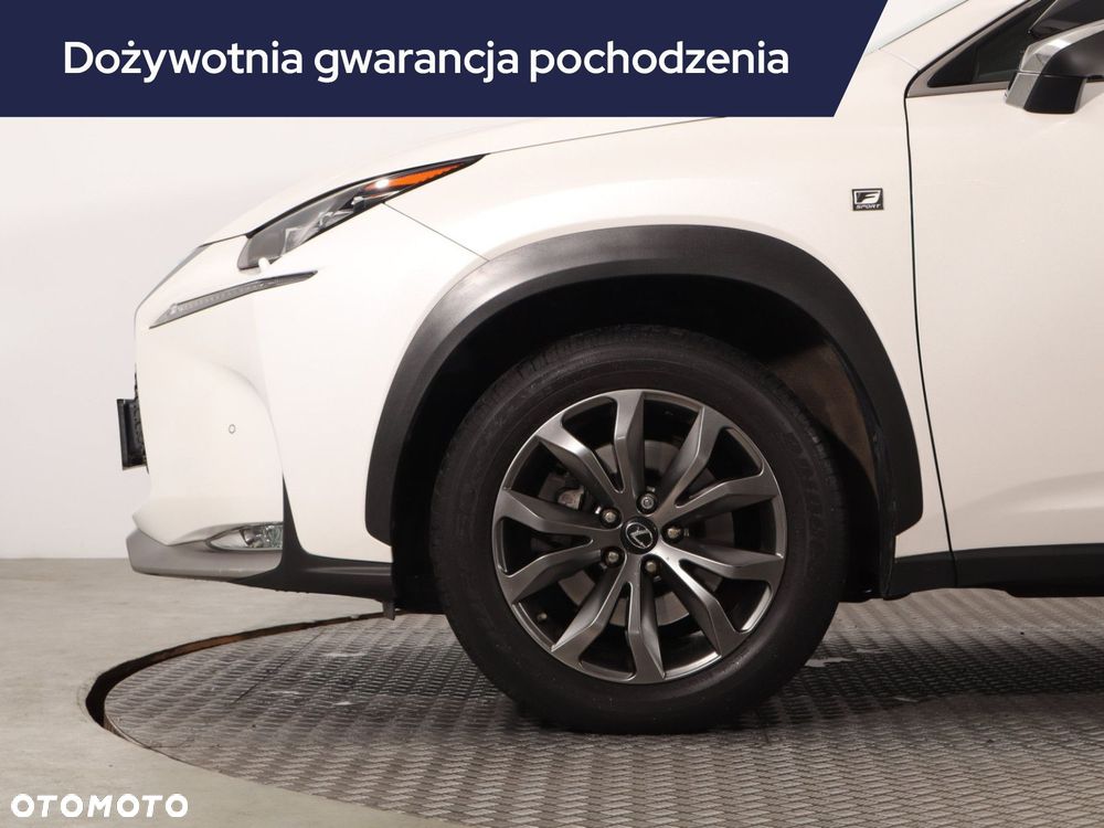 Lexus NX - 17