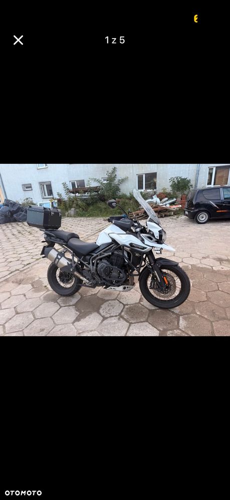Triumph Tiger - 1