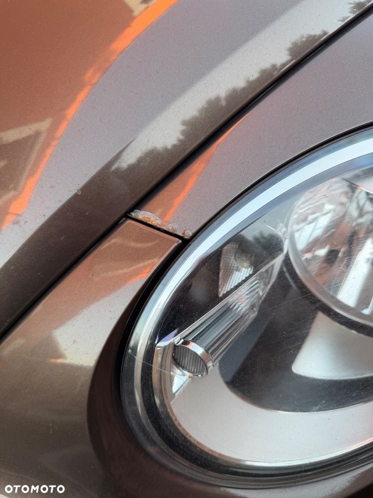 Volkswagen Beetle - 20