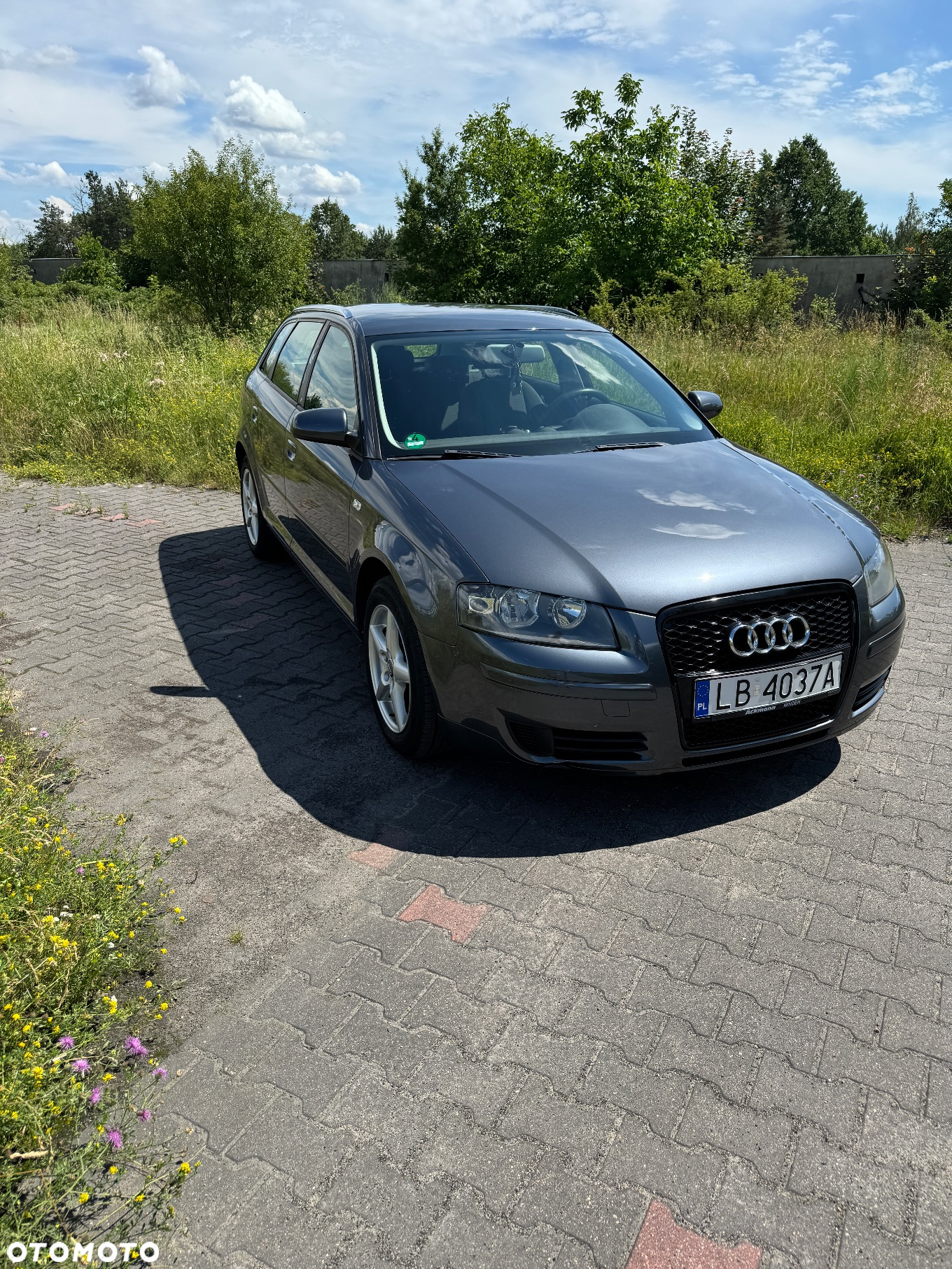 Audi A3 1.6 Ambiente - 15