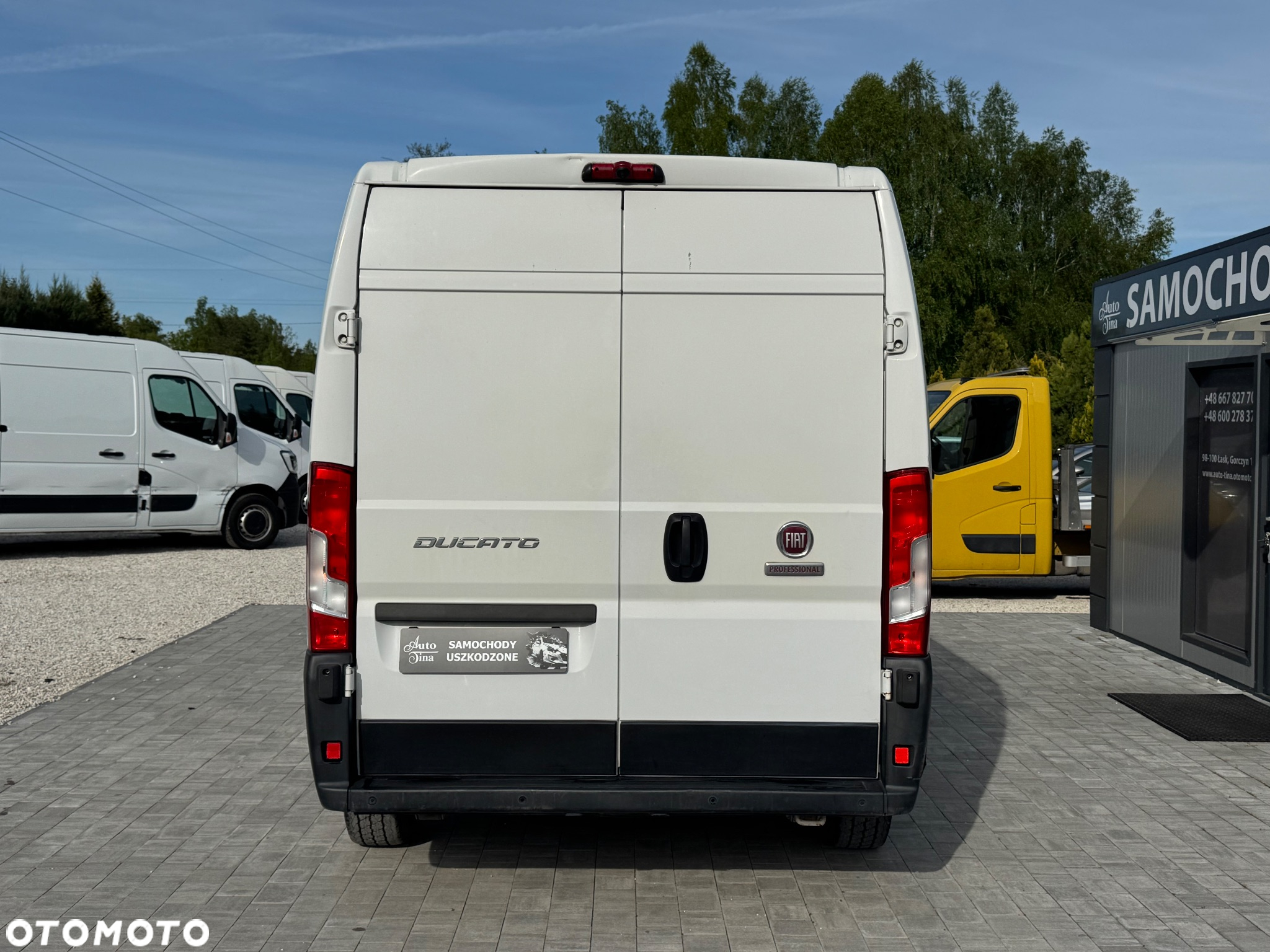 Fiat Ducato L3H2 Chłodnia - 6