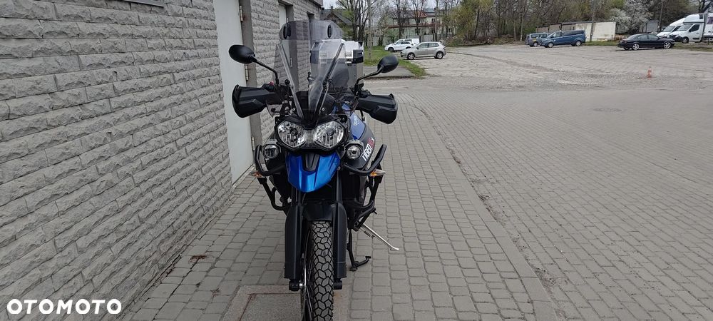Triumph Tiger - 3