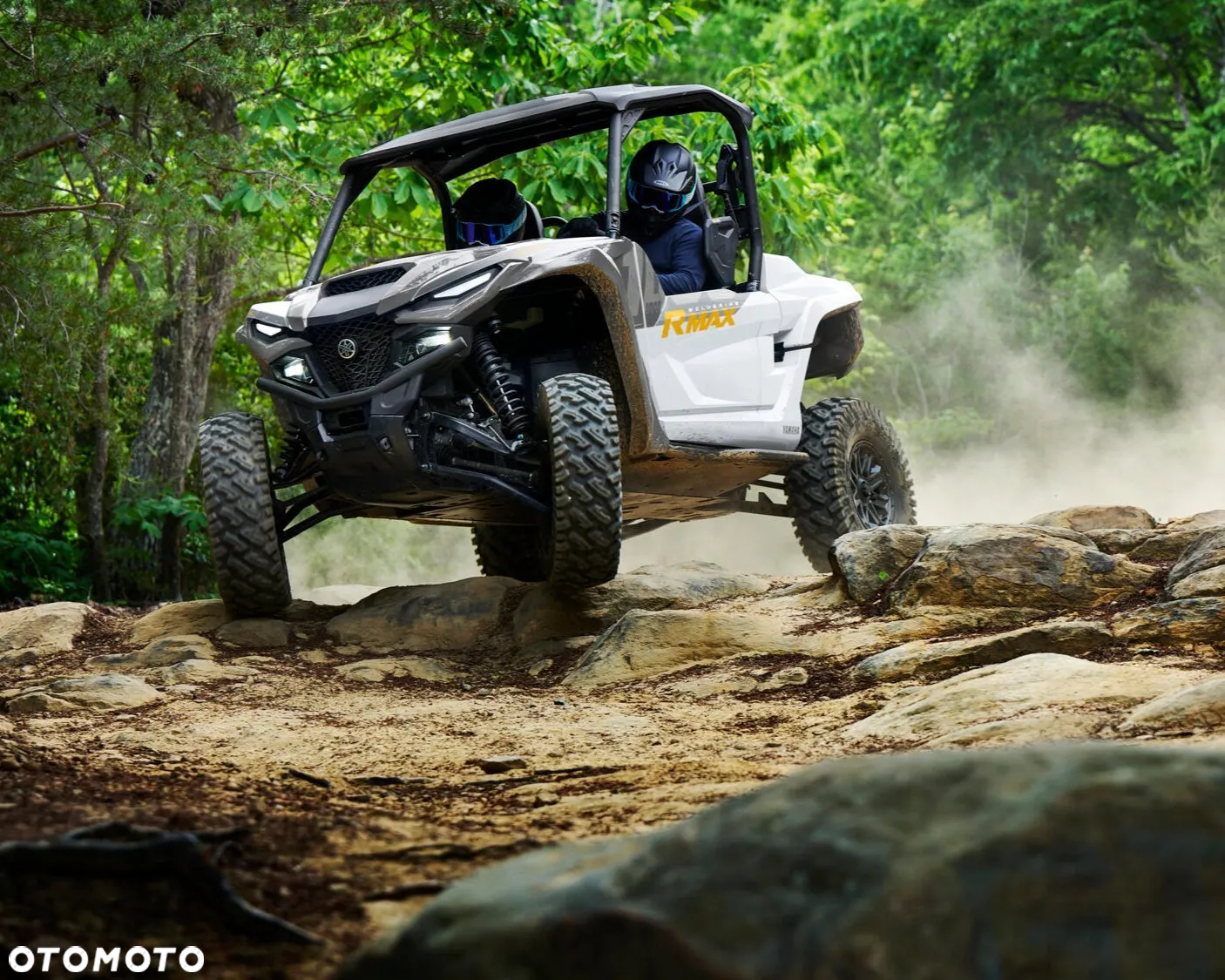 Yamaha Wolverine - 4