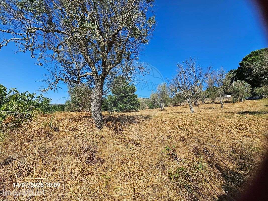 Terreno  para venda - Grande imagem: 3/6