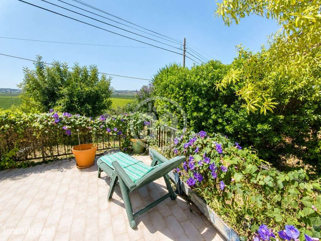 Casa Tradicional Portuguesa com Vistas Deslumbrantes Zona Rural do ... - Grande imagem: 3/26
