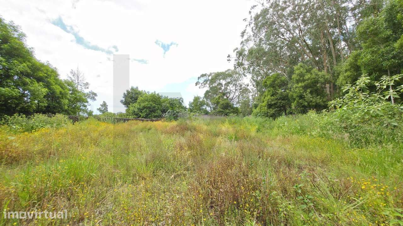 Terreno com 4500m2 no Rosário,  Lagoa - Grande imagem: 3/19