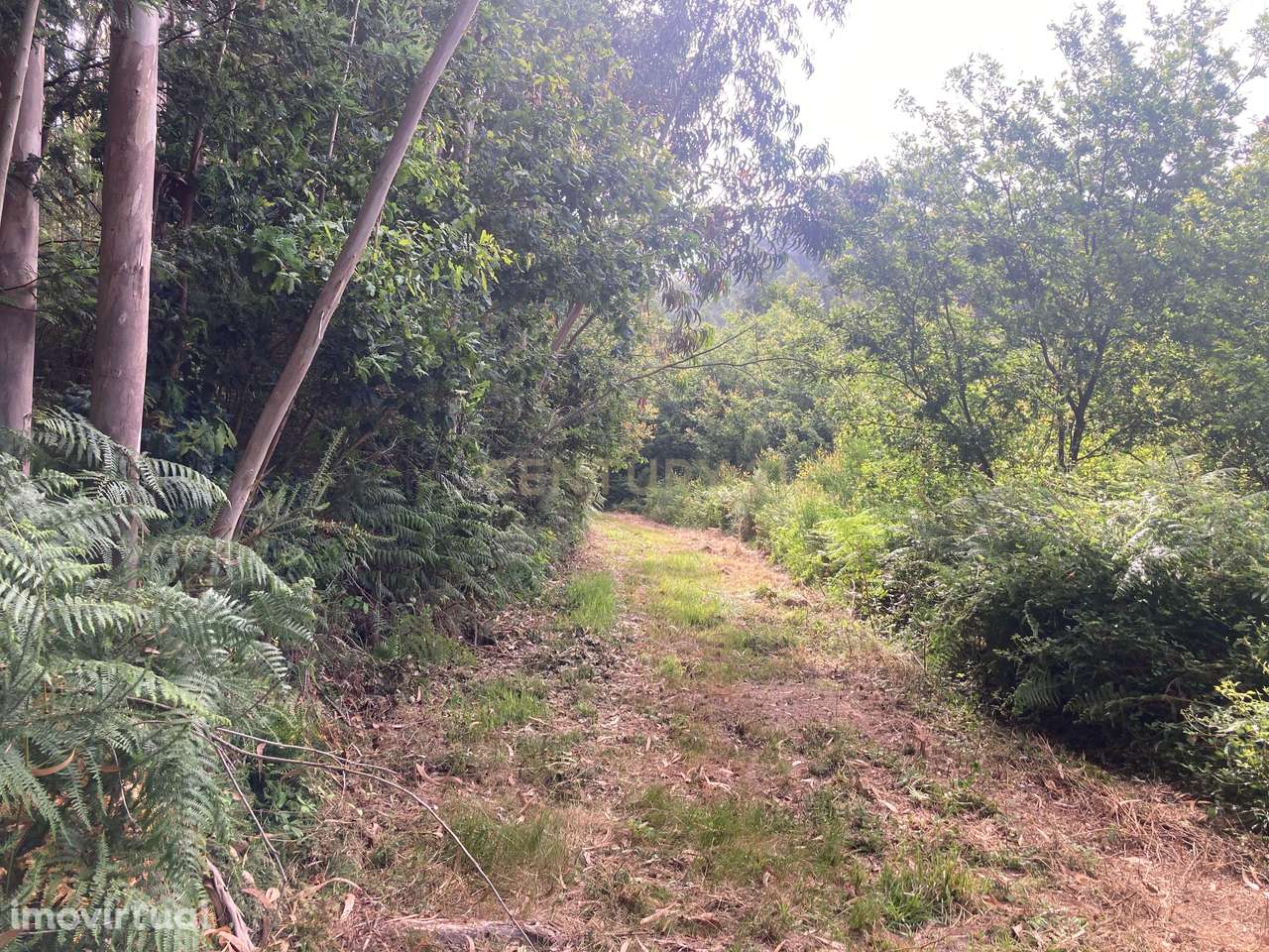 Terreno Rústico à Venda em Oldrões, Penafiel - Grande imagem: 5/24