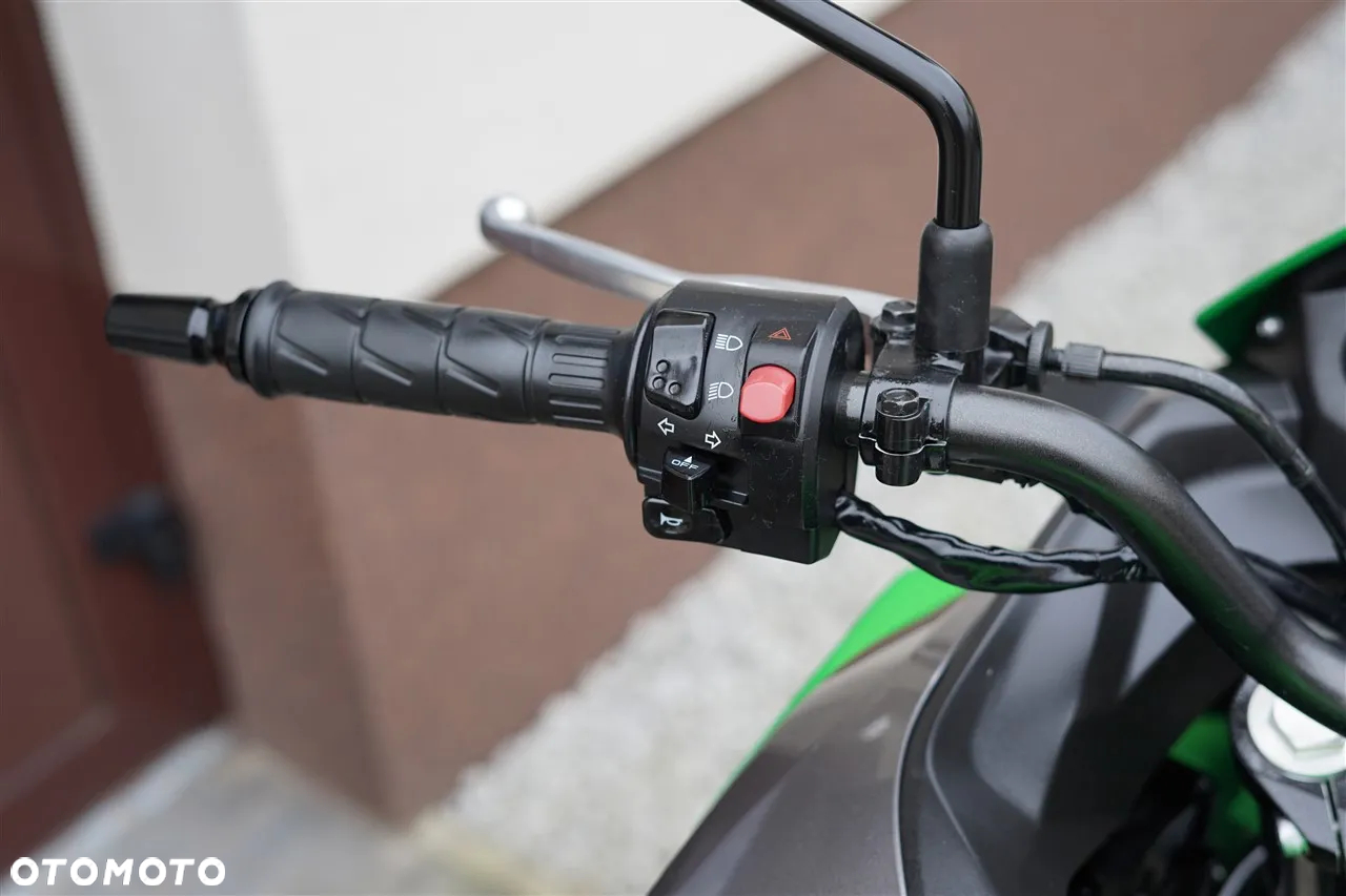 Kawasaki Versys-X 300 - 17