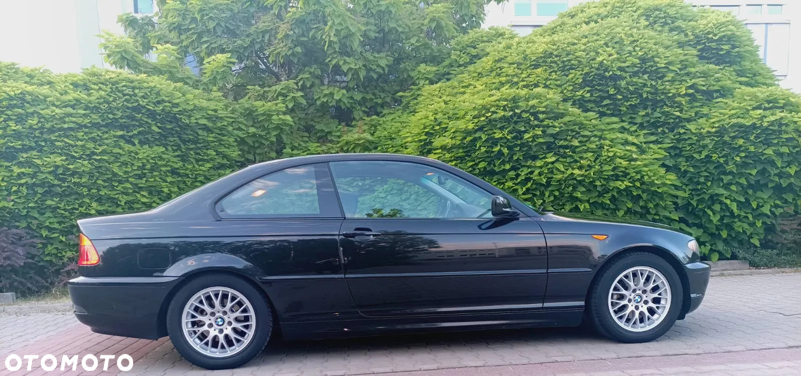 BMW Seria 3 - 29