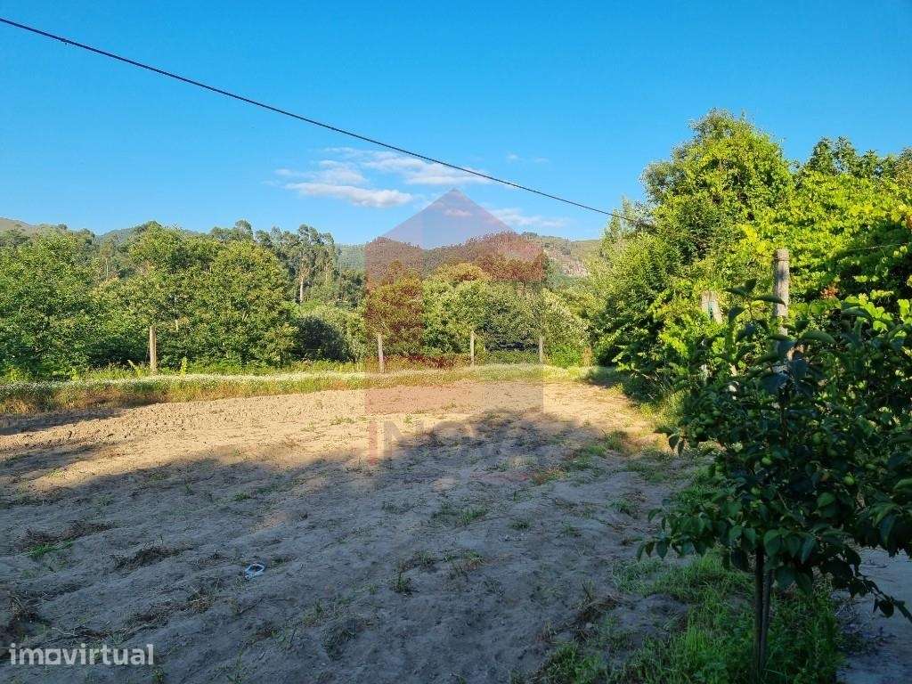 Terreno agrícola, Pico - Grande imagem: 4/12