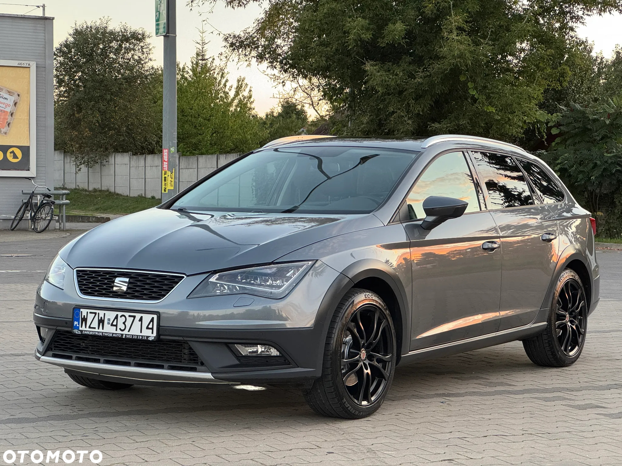 Seat Leon 2.0 TDI X-Perience S&S 4Drive DSG - 4