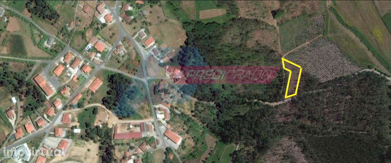 Terreno Florestal em Freiriz - Grande imagem: 4/4