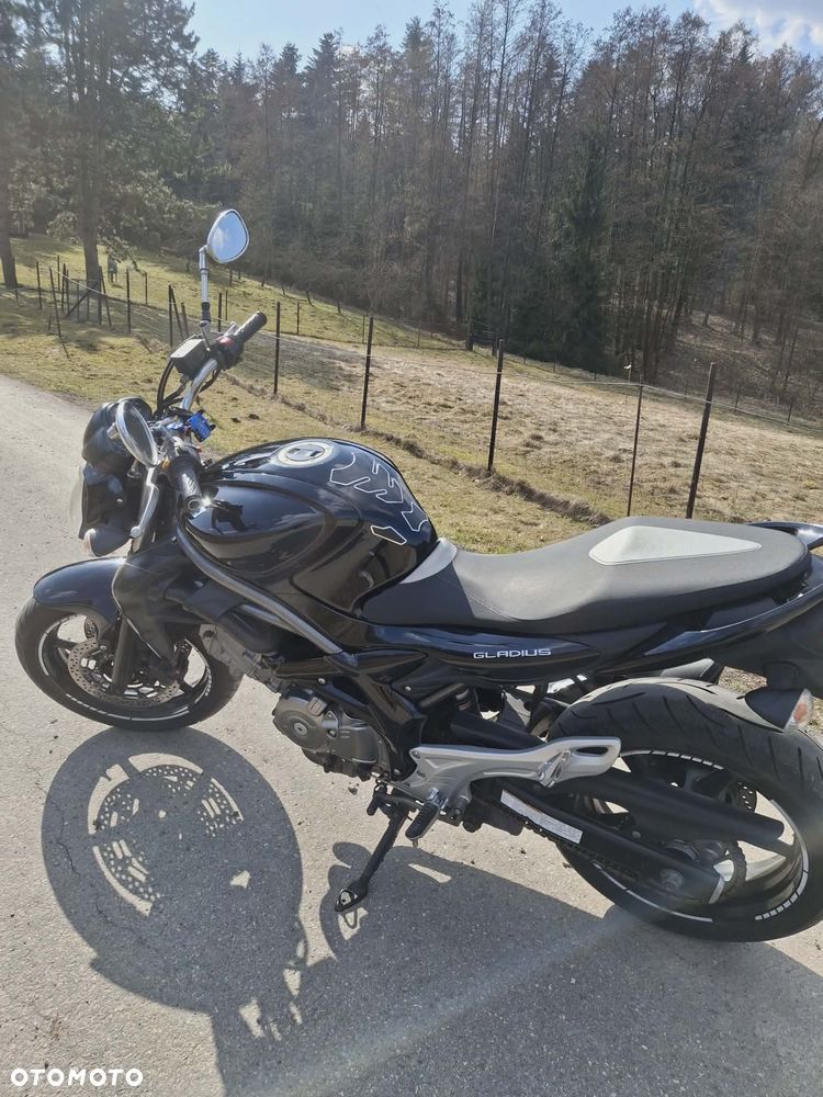 Suzuki Gladius - 11