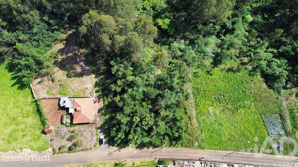 Terreno para construção em São Jorge de 1560,00 m2 - Grande imagem: 2/11