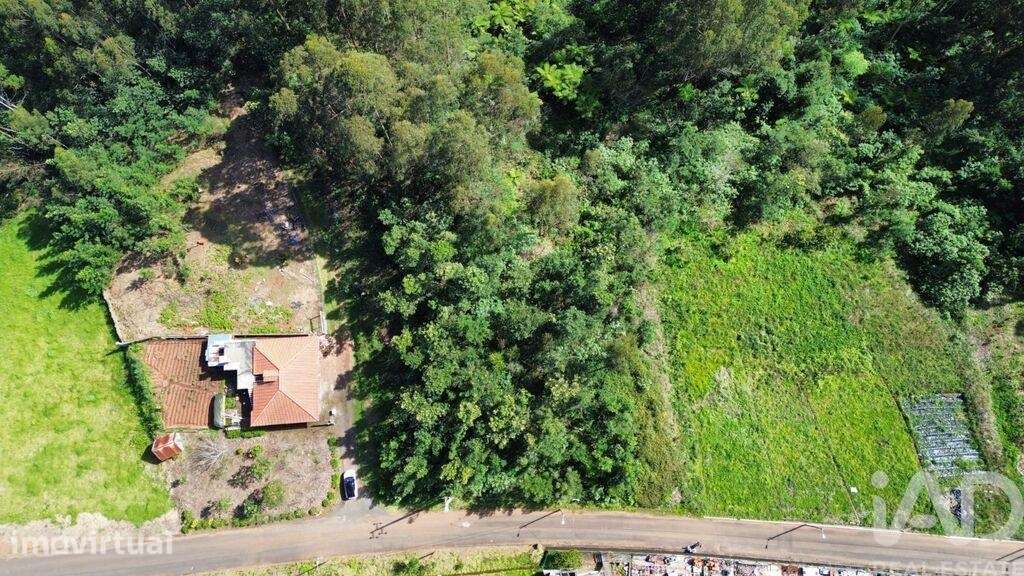 Terreno para construção em São Jorge de 1560,00 m2 - Grande imagem: 2/11