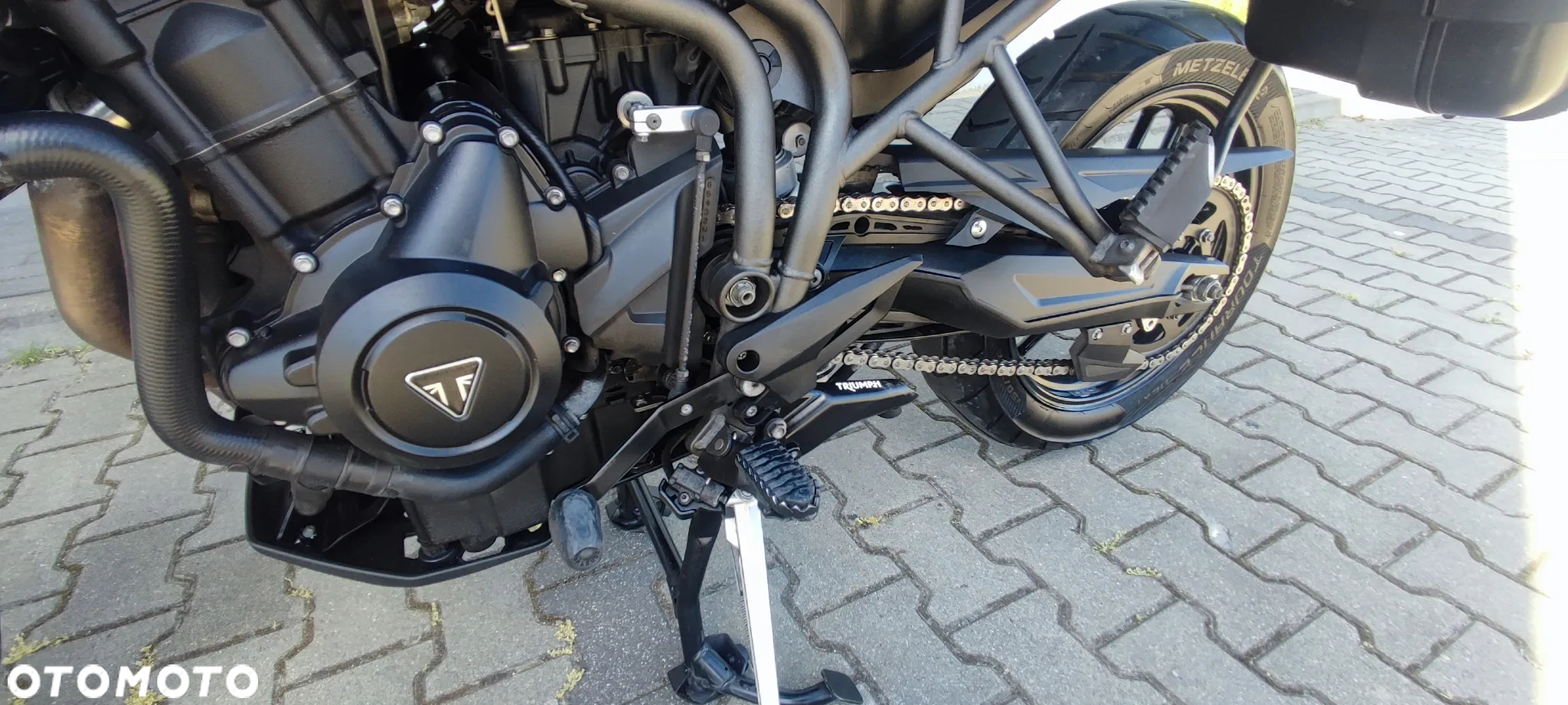 Triumph Tiger - 16