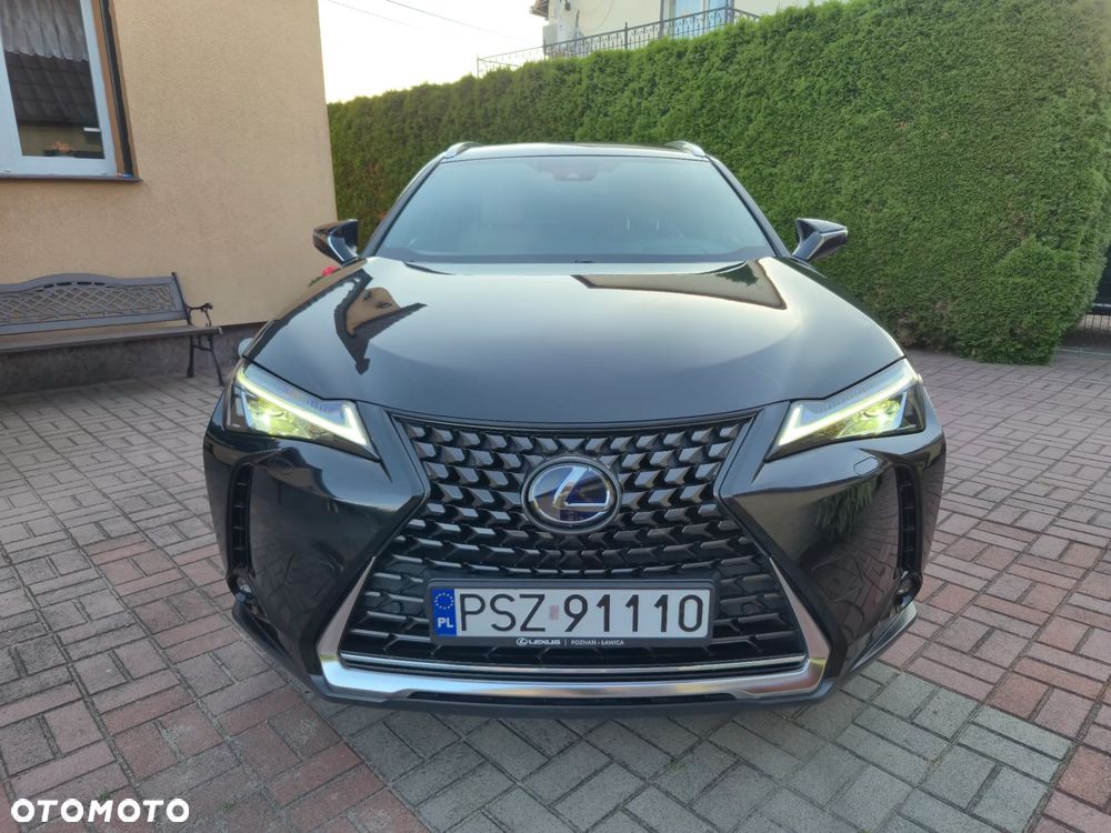 Lexus UX 250h Prestige AWD - 10