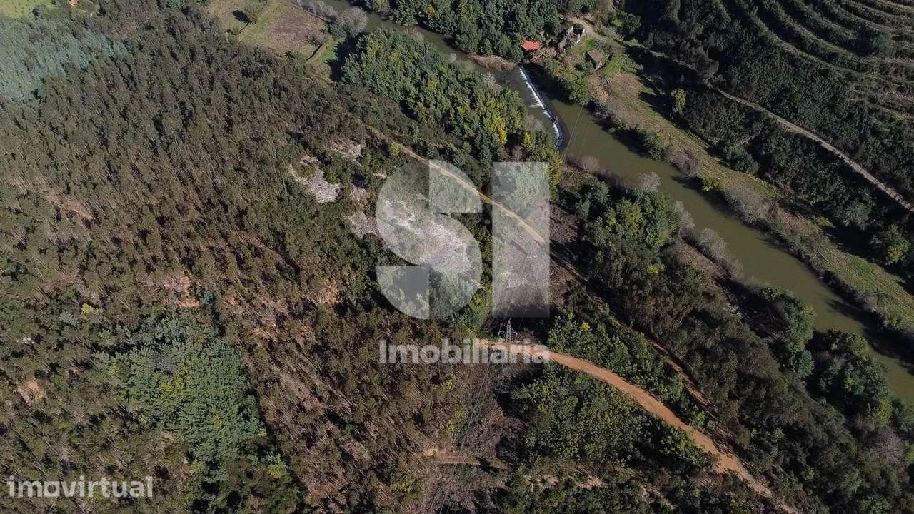 Terreno em Arganil - Grande imagem: 5/12