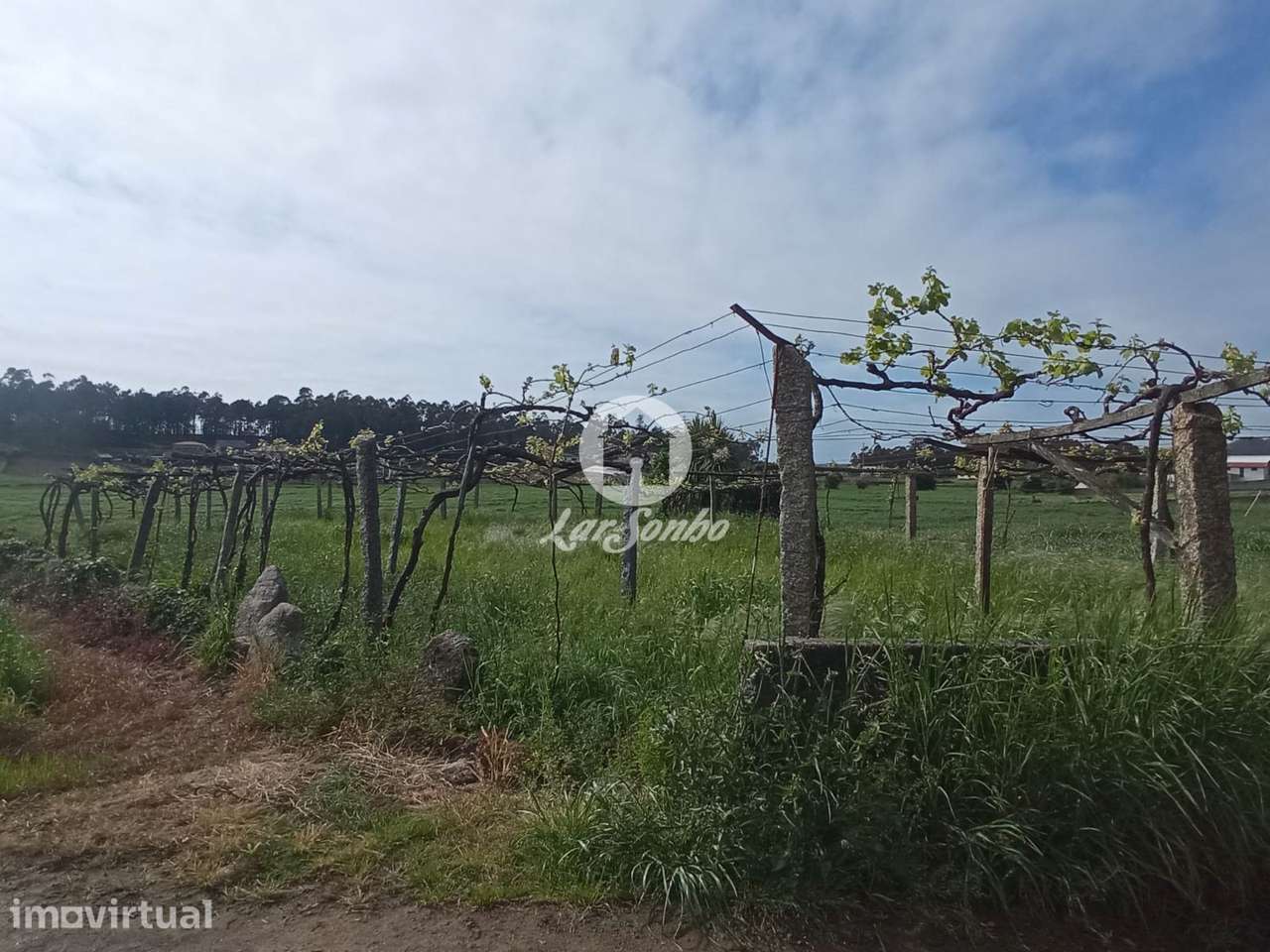 Terreno em Barcelos - Grande imagem: 4/11