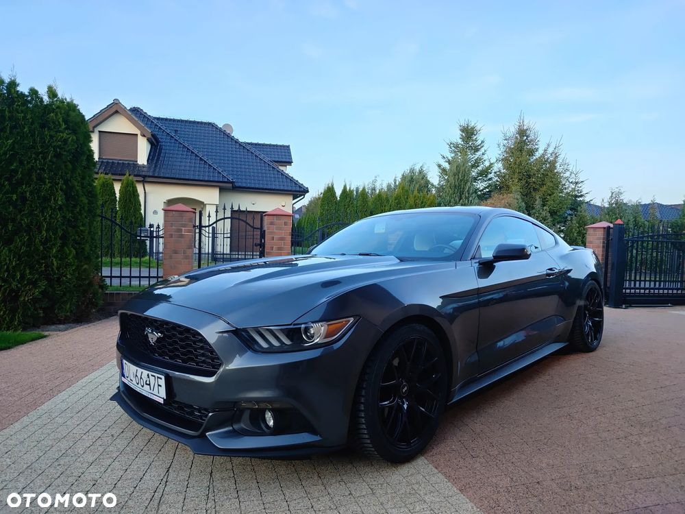 Ford Mustang 2.3 EcoBoost - 13