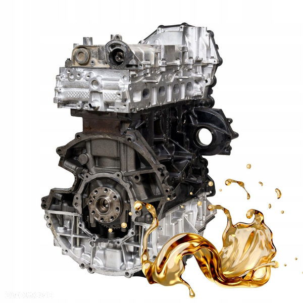 Silnik Ford Custom 2.0 EcoBlue EURO 6 Engine Motor
