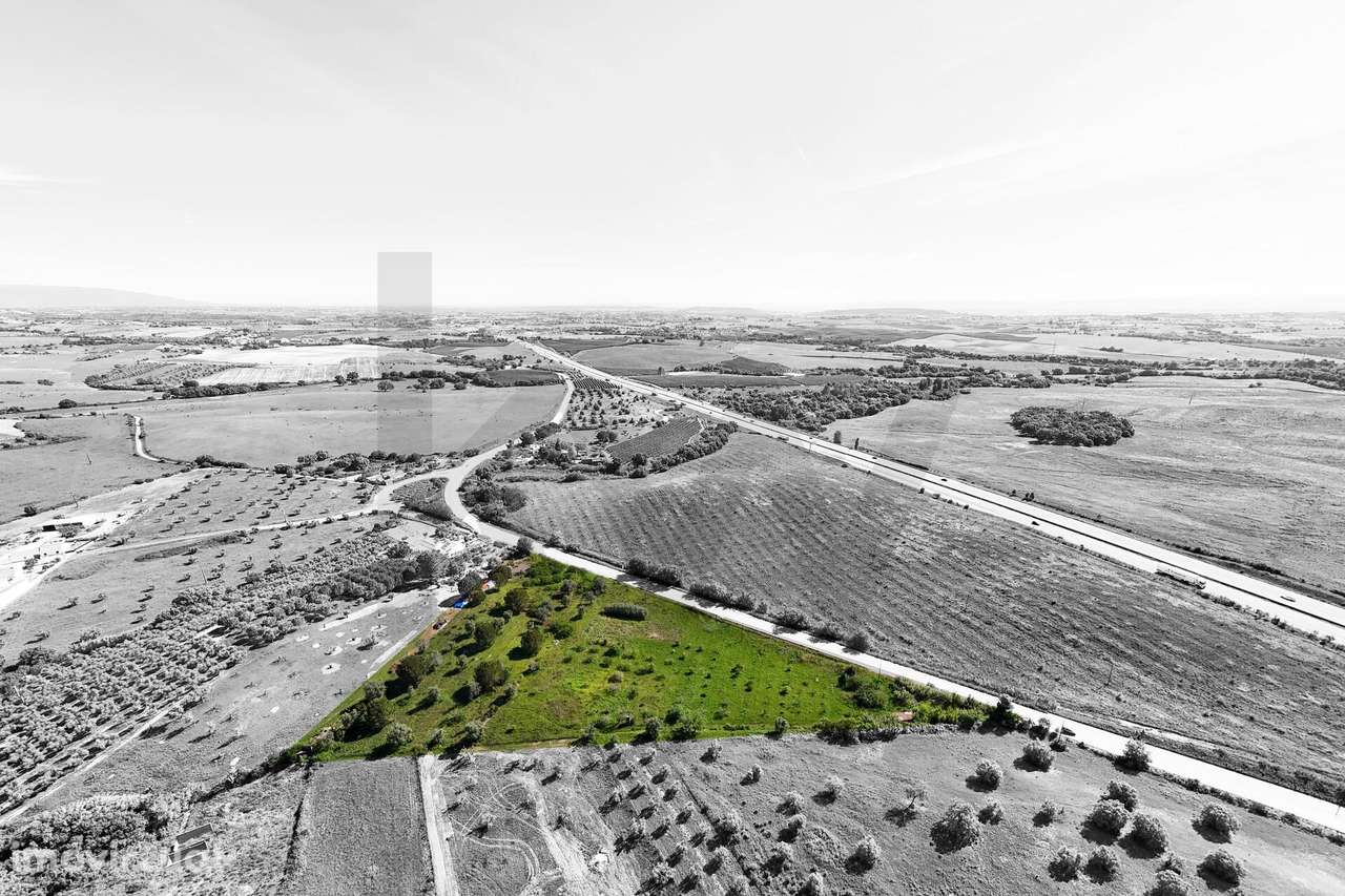 Terreno Rústico com Viabilidade de Construção de Armazém - Grande imagem: 5/13