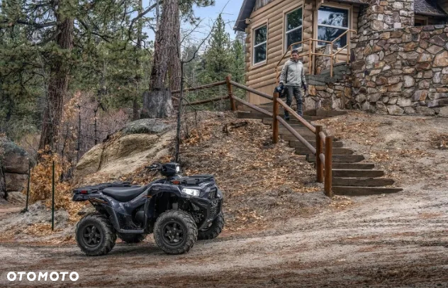 Kawasaki Brute Force - 6