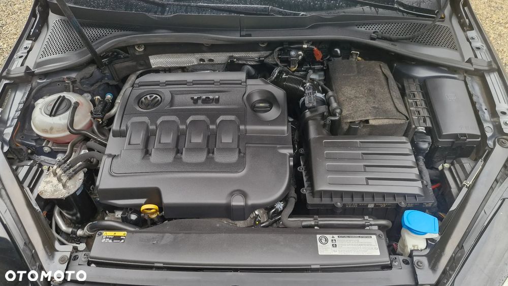Volkswagen Golf - 24