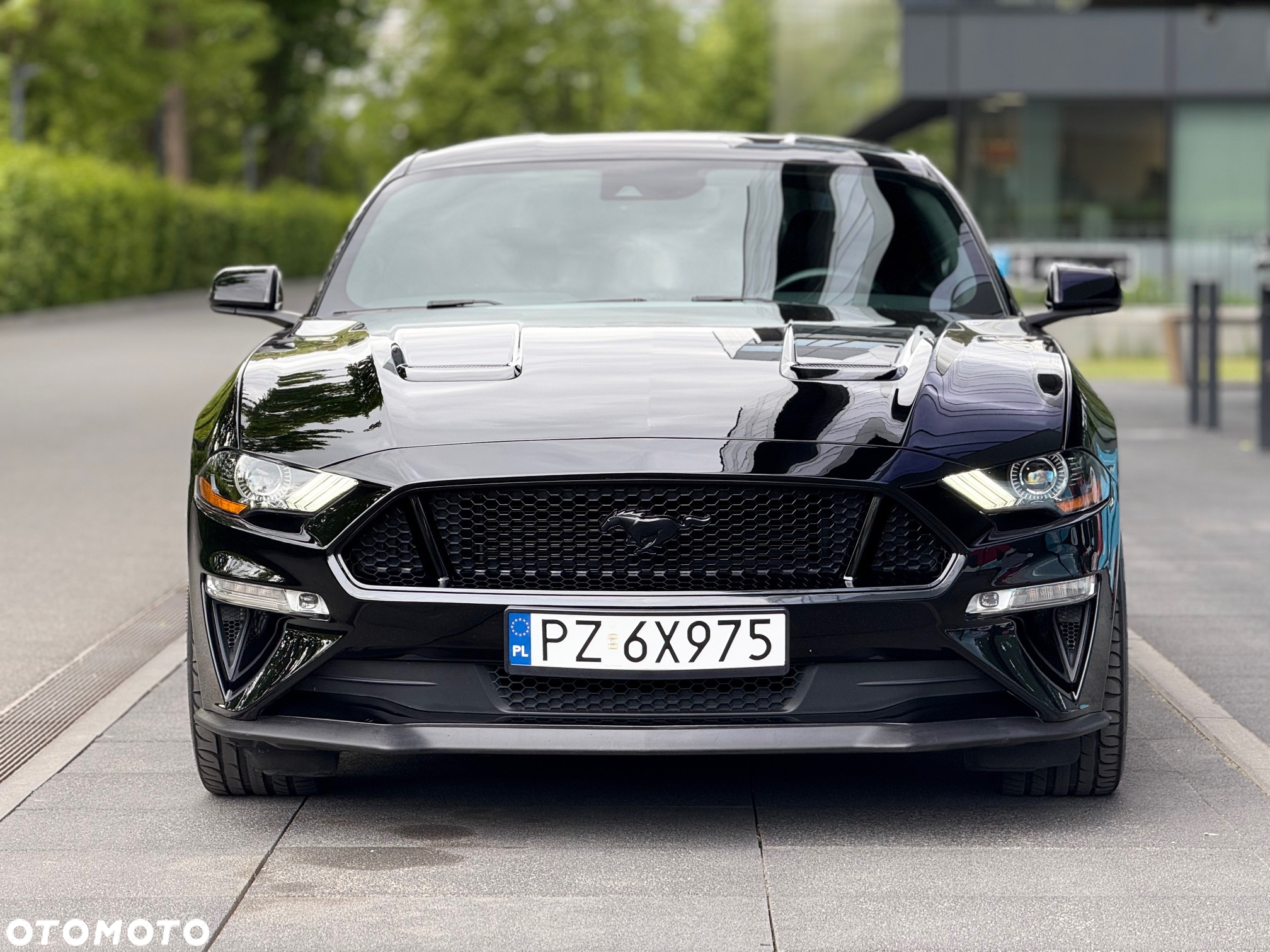 Ford Mustang - 10