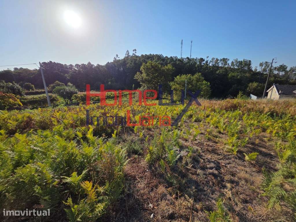 Terreno com viabilidade de construção - Grande imagem: 2/10