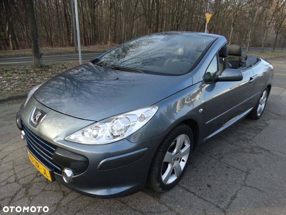Peugeot 307 CC - 17