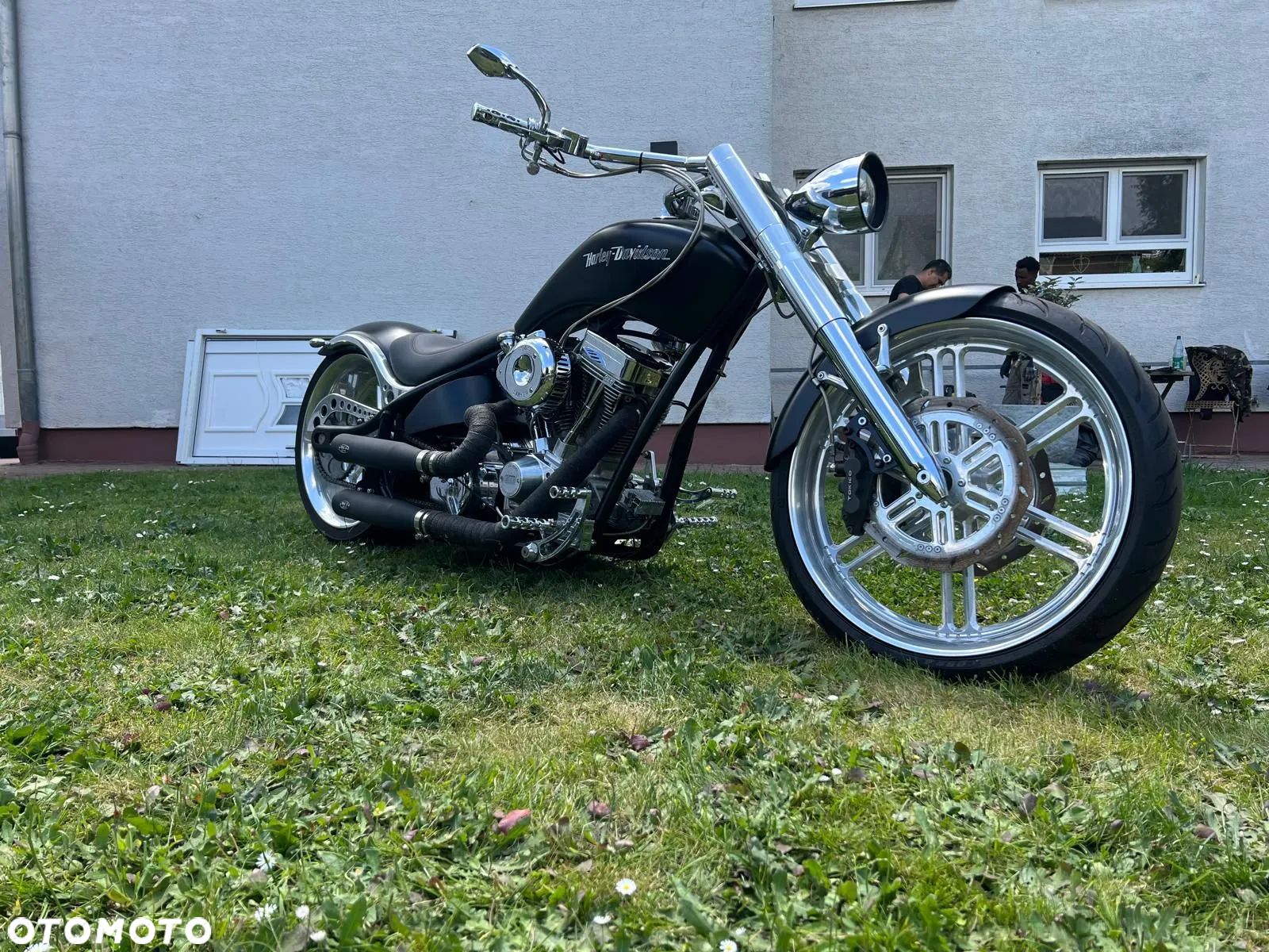 Harley-Davidson Softail Custom - 1
