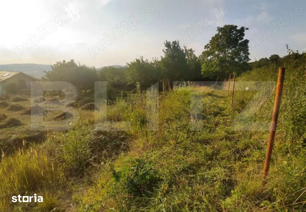 Teren intravilan de 15 ari – Valea Jelnei, str. Campului - Imagine principală: 2/6
