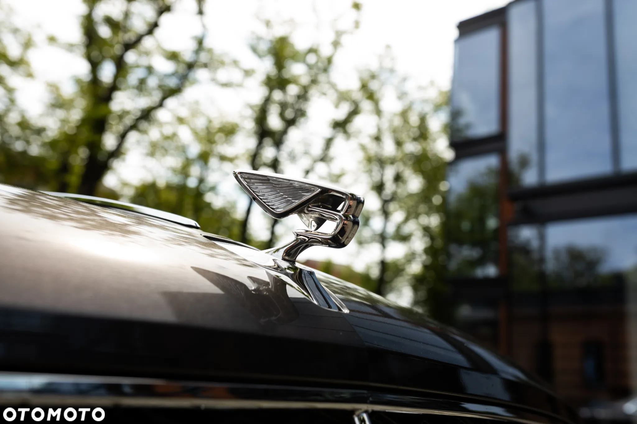 Bentley Flying Spur - 7