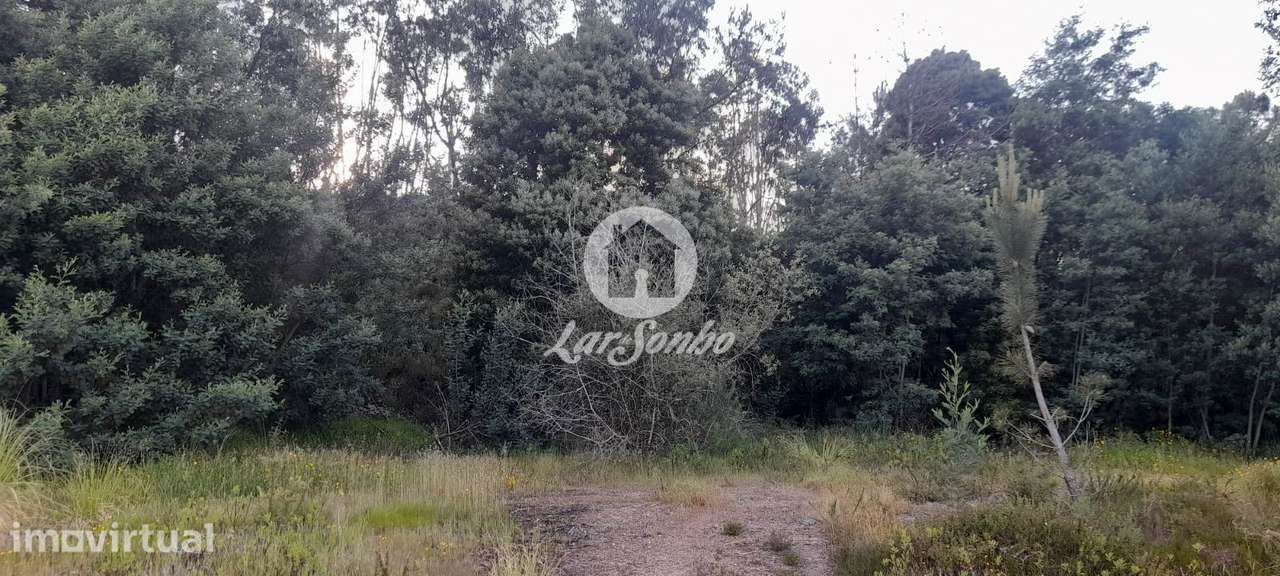 Terreno com 8.600 m² na Trofa | Excelente Oportunidade de Investimento - Grande imagem: 2/13
