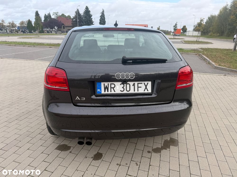 Audi A3 3-drzwiowe 1.9 TDI S Line Sportpaket plus - 8