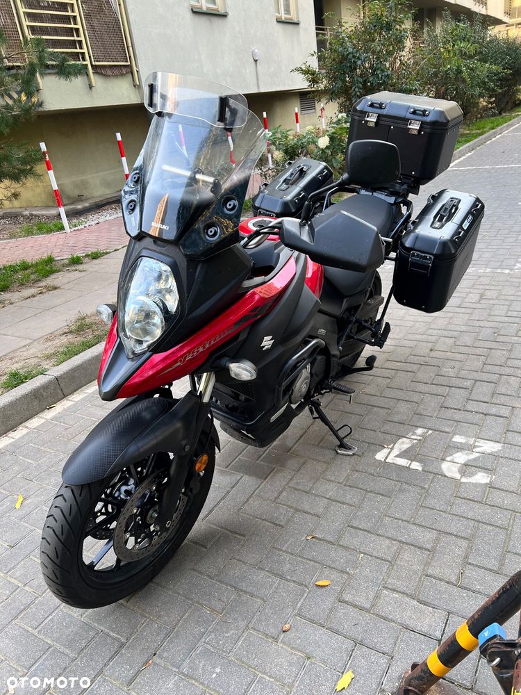 Suzuki DL