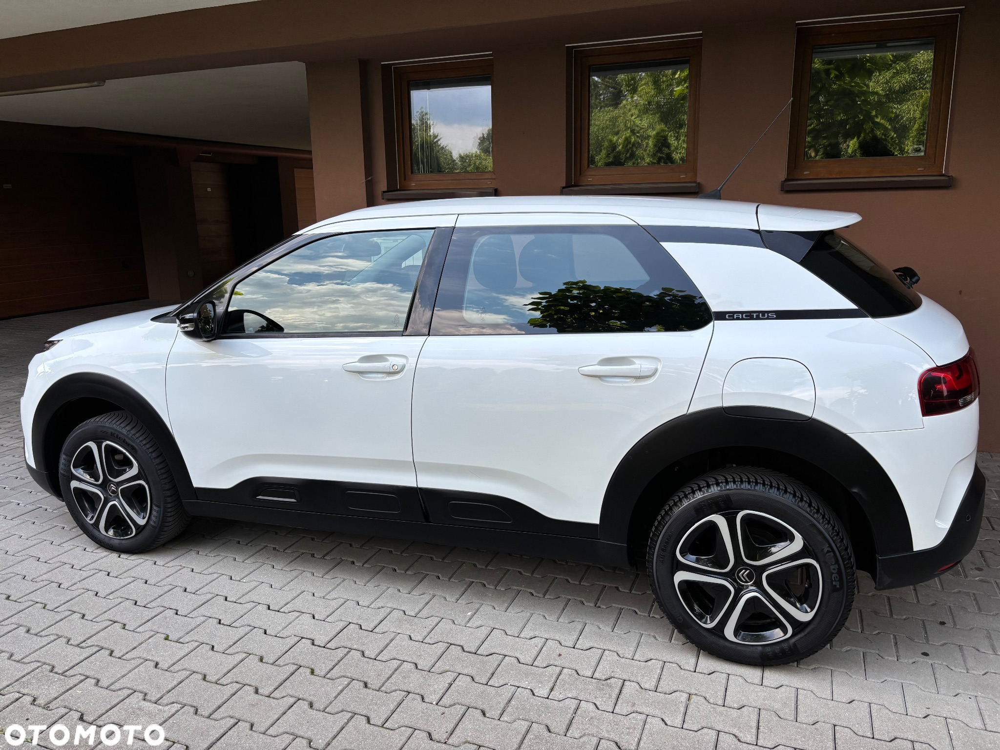 Citroën C4 Cactus 1.5 BlueHDi Live - 13
