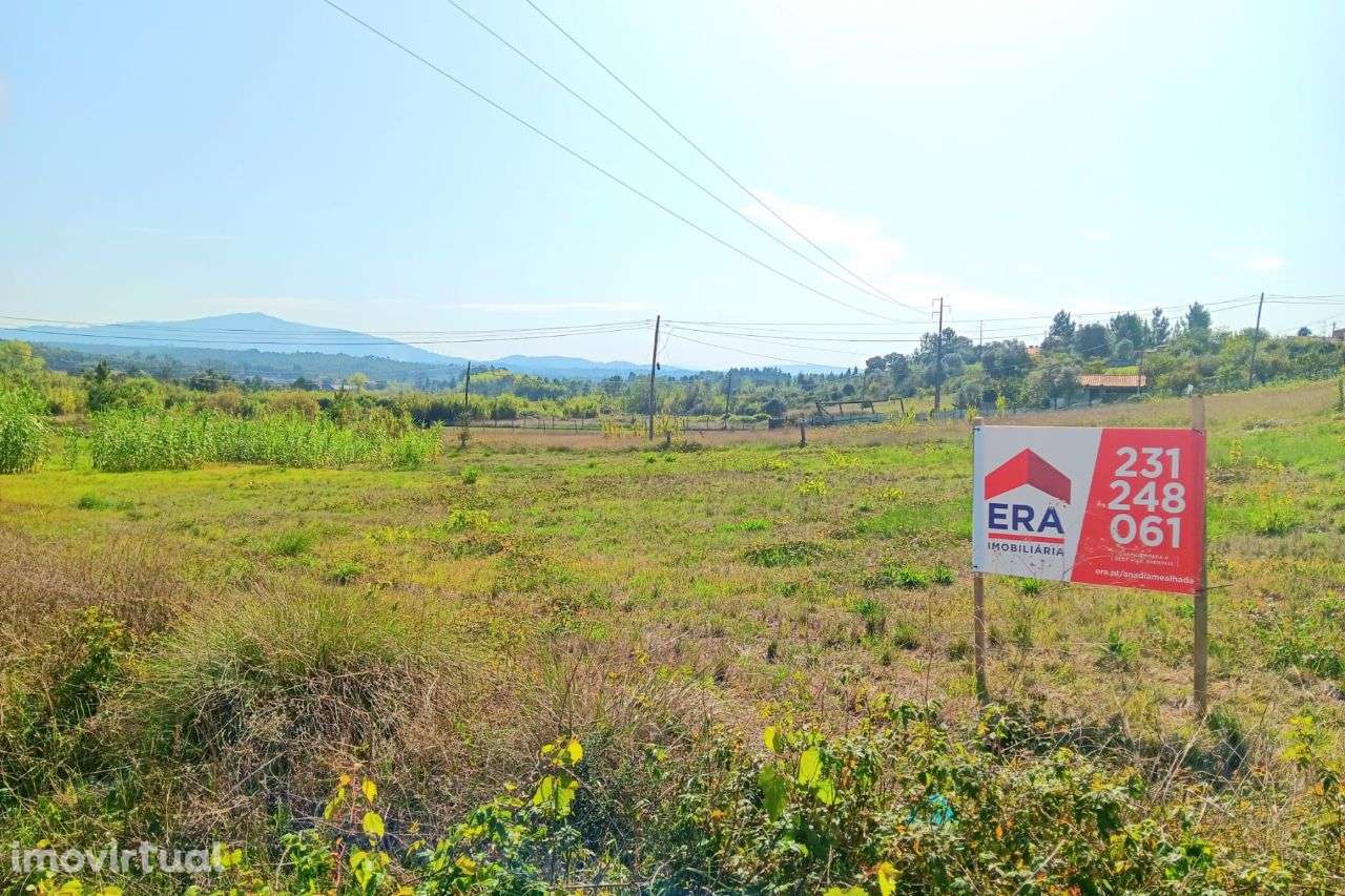 Terreno Rústico com viabilidade de construção Aguim | ERA Imobiliária - Grande imagem: 3/6