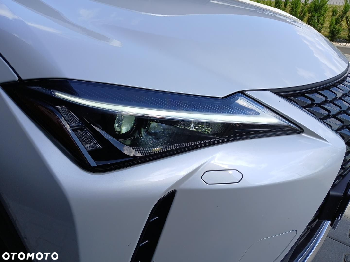 Lexus UX - 27