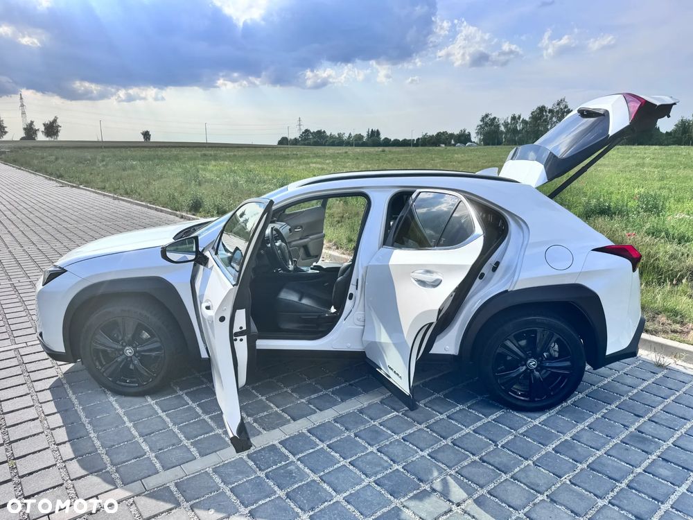 Lexus UX - 15