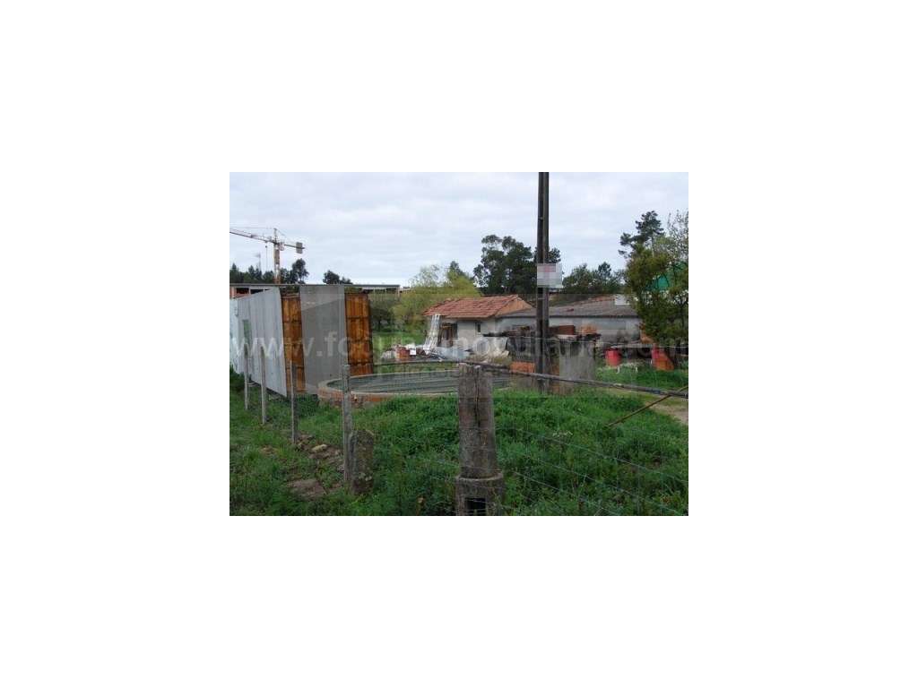 Terreno com moradia para venda - Esgueira - Grande imagem: 2/6